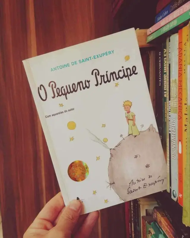 Resumo O Pequeno Príncipe Antoine de Saint Exupéry Resumo de Livro