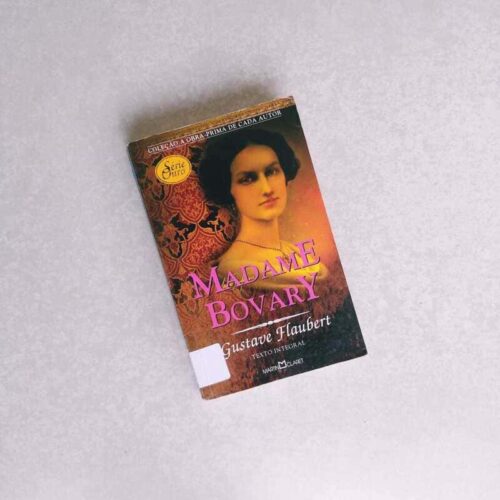 Madame-Bovary