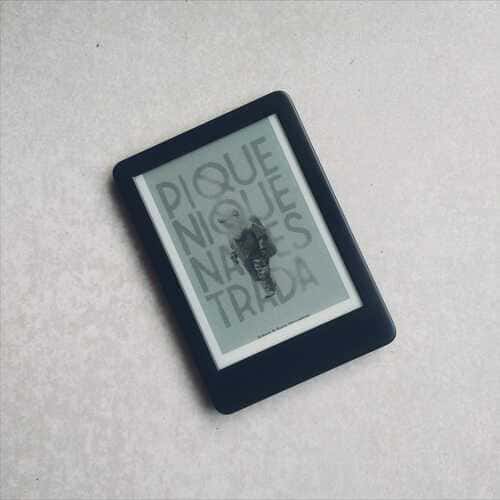 Piquenique na estrada